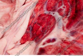 RAW meat pork 0062